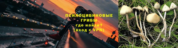 a pvp Инсар
