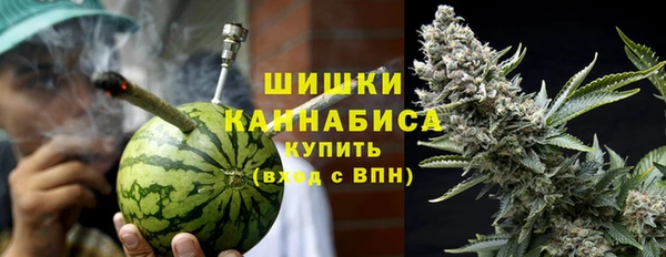 прущий лед Каменка