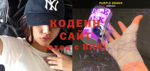a pvp Инсар