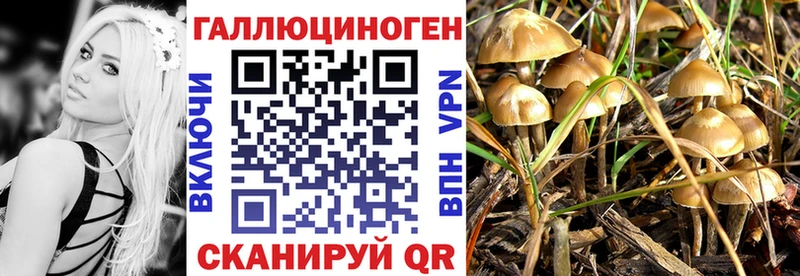 Купить  Николаевск-на-Амуре  Галлюциногенные грибы прущие грибы 